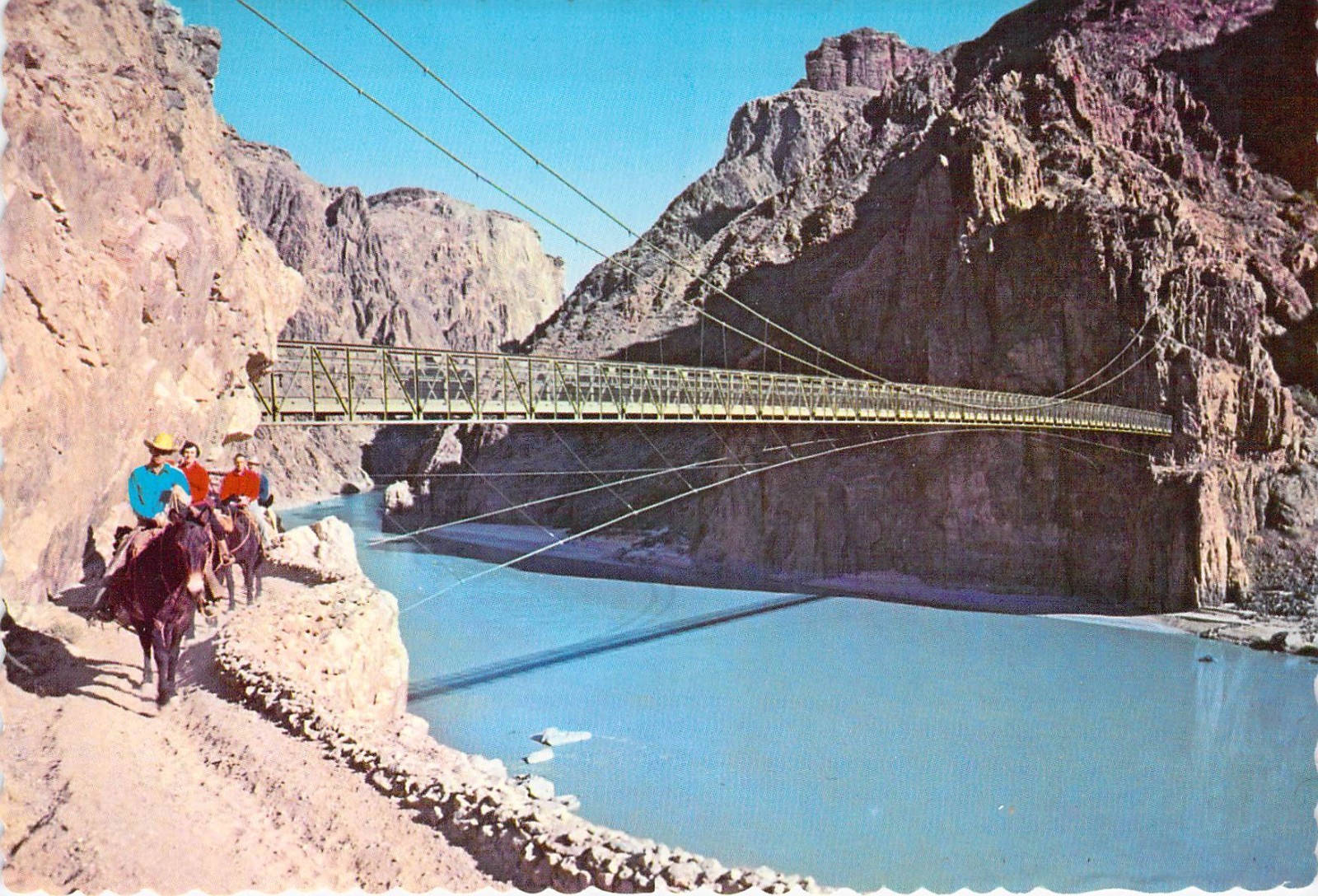 1969 AZ Grand Canyon National Pk Kaibab Suspension Bridge Mules Postcard 4x6 C53 1969 AZ Grand Canyon National Pk Kaibab Suspension Bridge Mules Postcard 4x6 C53