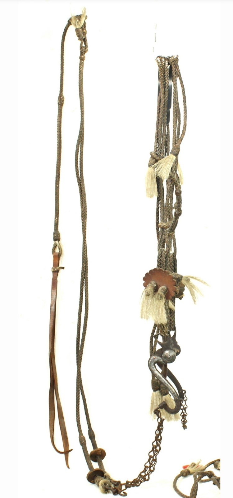 Antique Rawhide Bridle With Spanish Style Ring Bit Museum Quality Antique Rawhide Bridle With Spanish Style Ring Bit Museum Quality