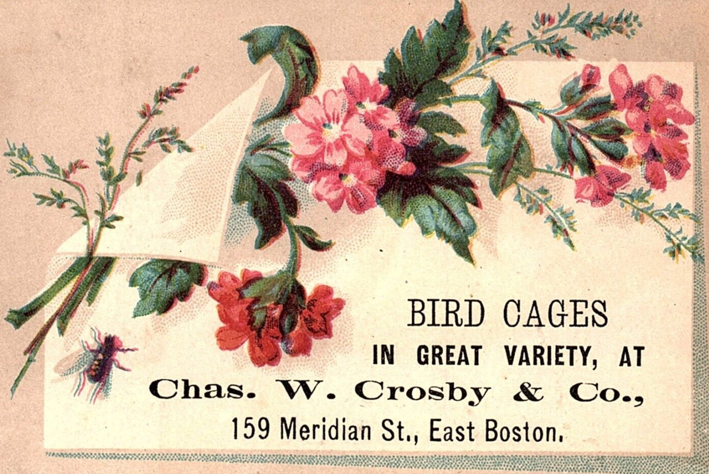 c1880 CHAS. W. CROSBY & CO BIRD CAGES EAST BOSTON MA VICTORIAN TRADE CARD Z1123