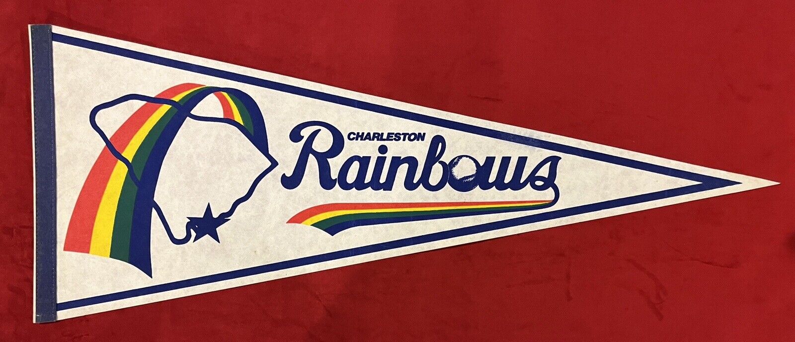 Vintage 29 In Charleston Rainbows Pennant Minor League Riverdogs Carolina League