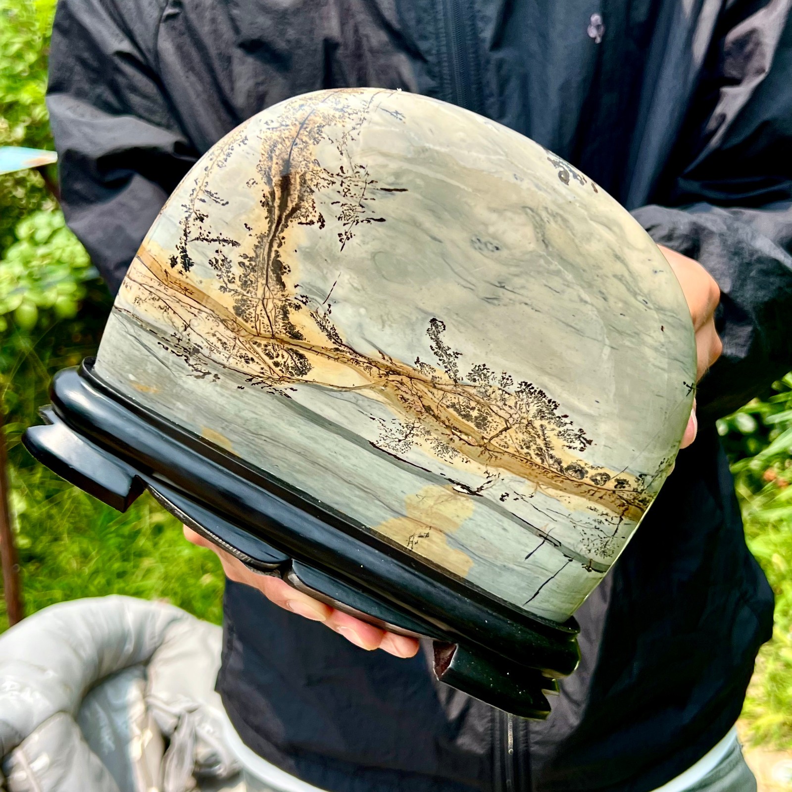 4.1LB Rare National Treasure Fossil - Authentic Collectible Stone Specimen 4.1LB Rare National Treasure Fossil - Authentic Collectible Stone Specimen