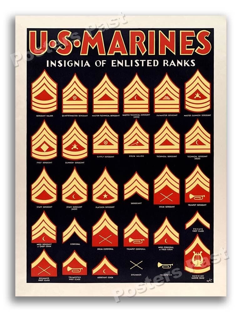 1940s US Marines Insignia Illustrated Vintage Style WW2 Poster - 18x24