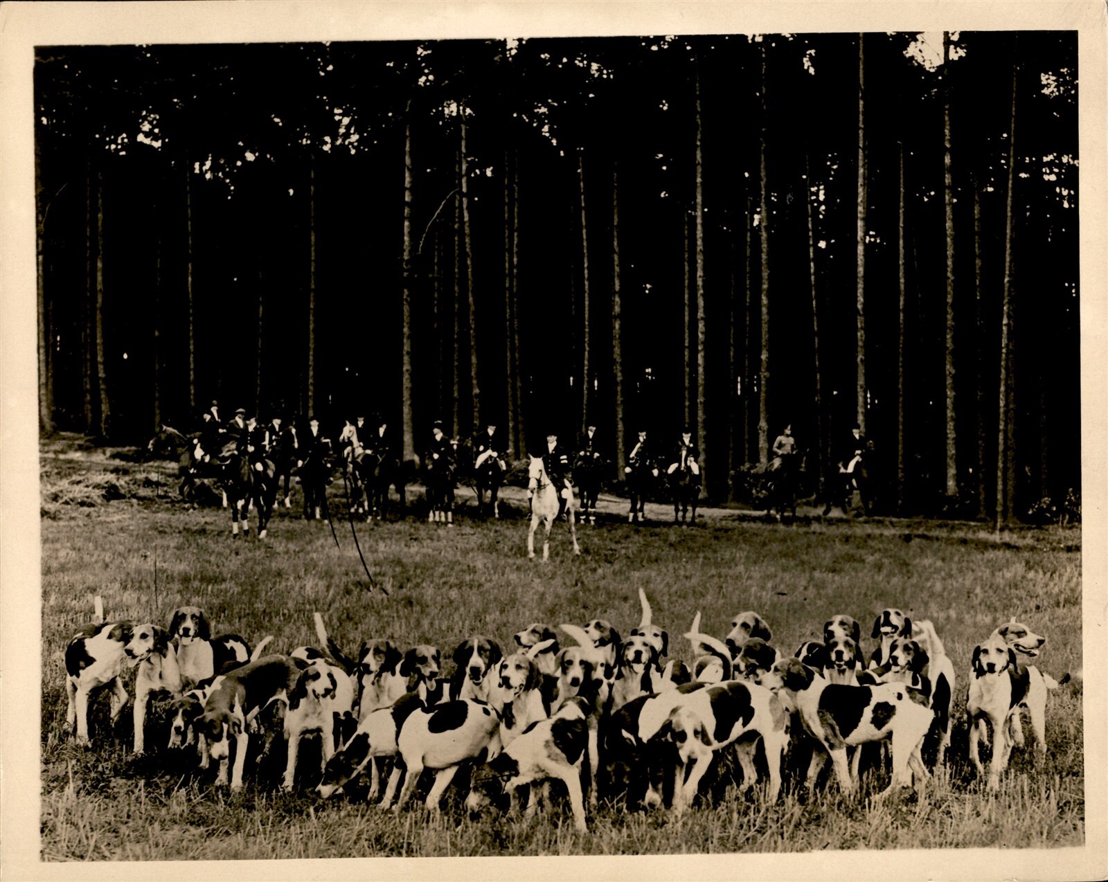 GA226 Approx 1920s Orig Underwood Photo FIRST FOX HUNT OF PARFORCE CLUBS BERLIN GA226 Approx 1920s Orig Underwood Photo FIRST FOX HUNT OF PARFORCE CLUBS BERLIN