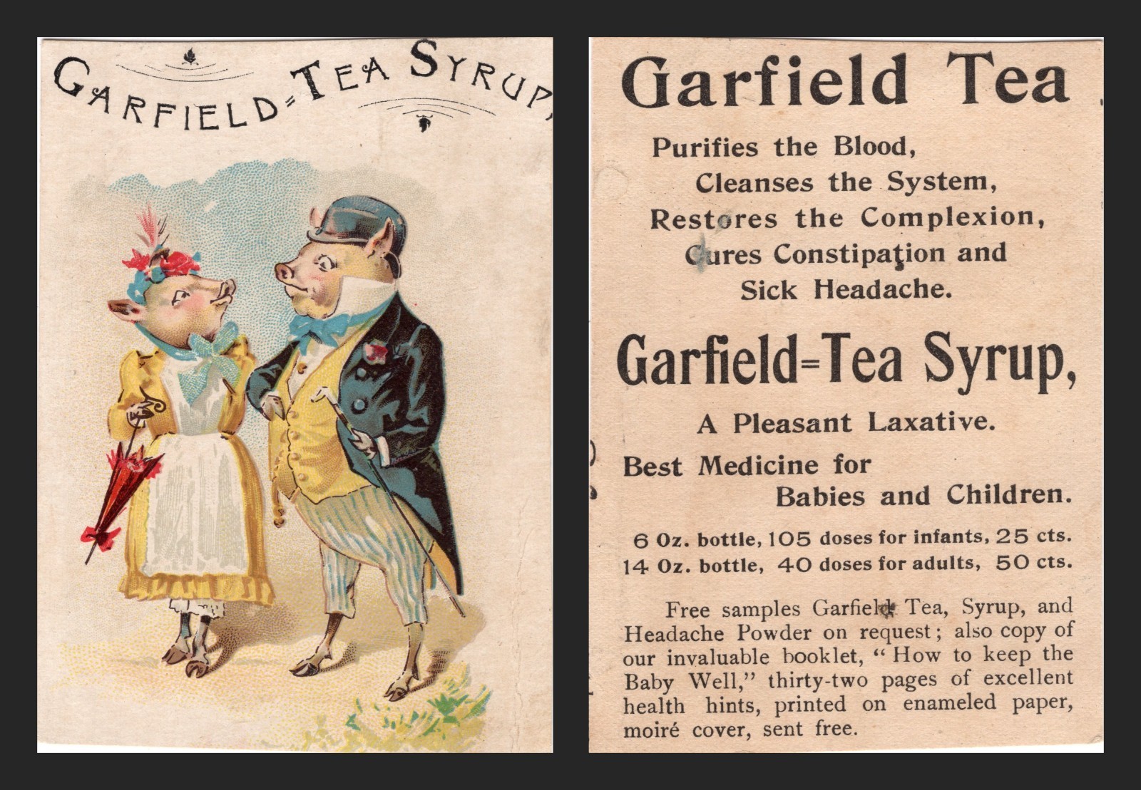 Victorian Trade Card Garfield Tea Syrup Dressed Pigs Patent Medicine Laxative