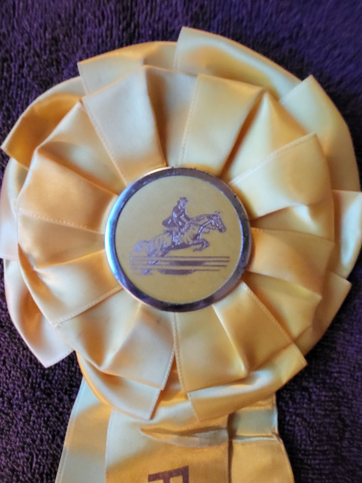 POST TIME Vintage Hunter Jumper Horse Show Ribbon Award Equestrian Event 1976