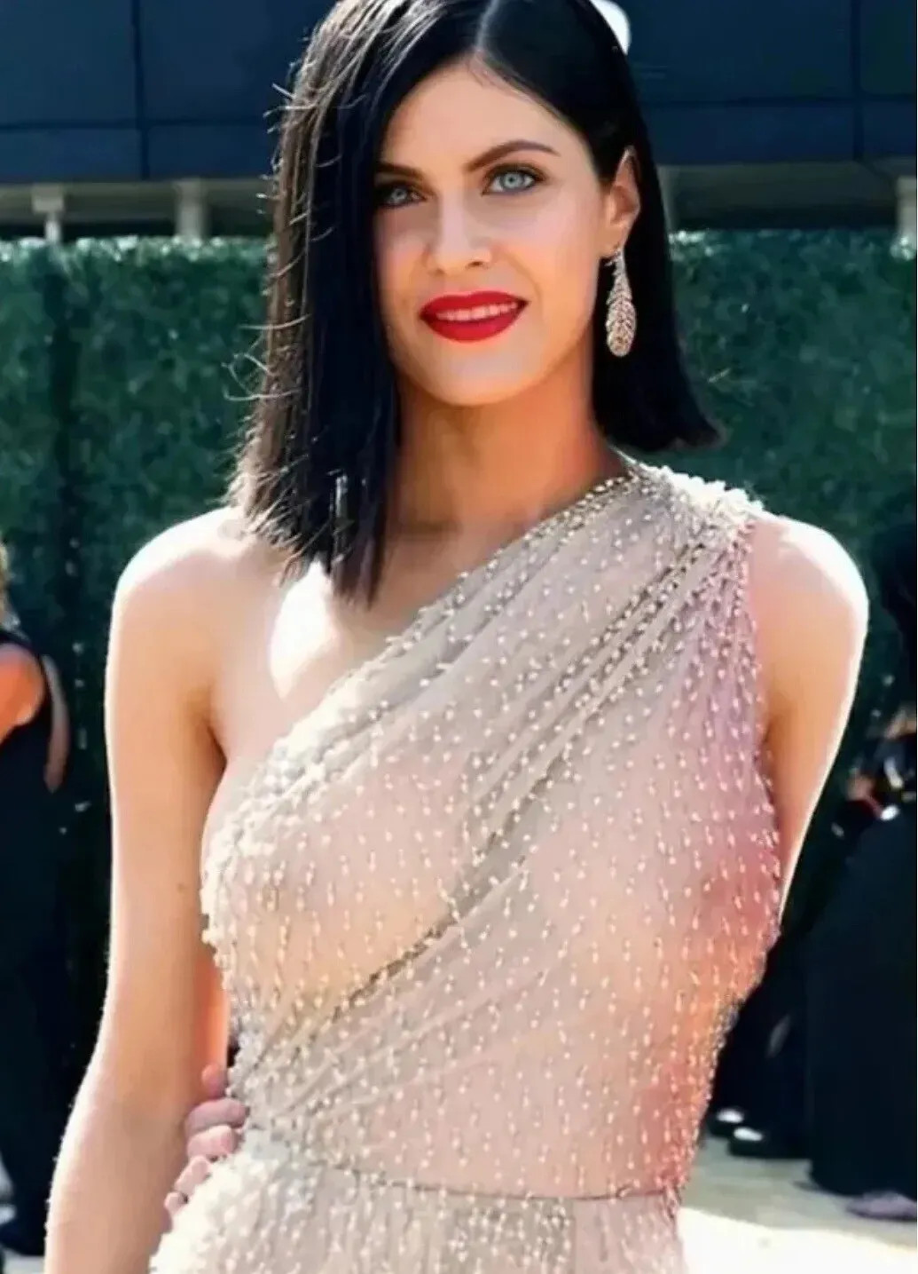 Alexandra Daddario Posing In Transparent Dress 4x6 PHOTO PRINT