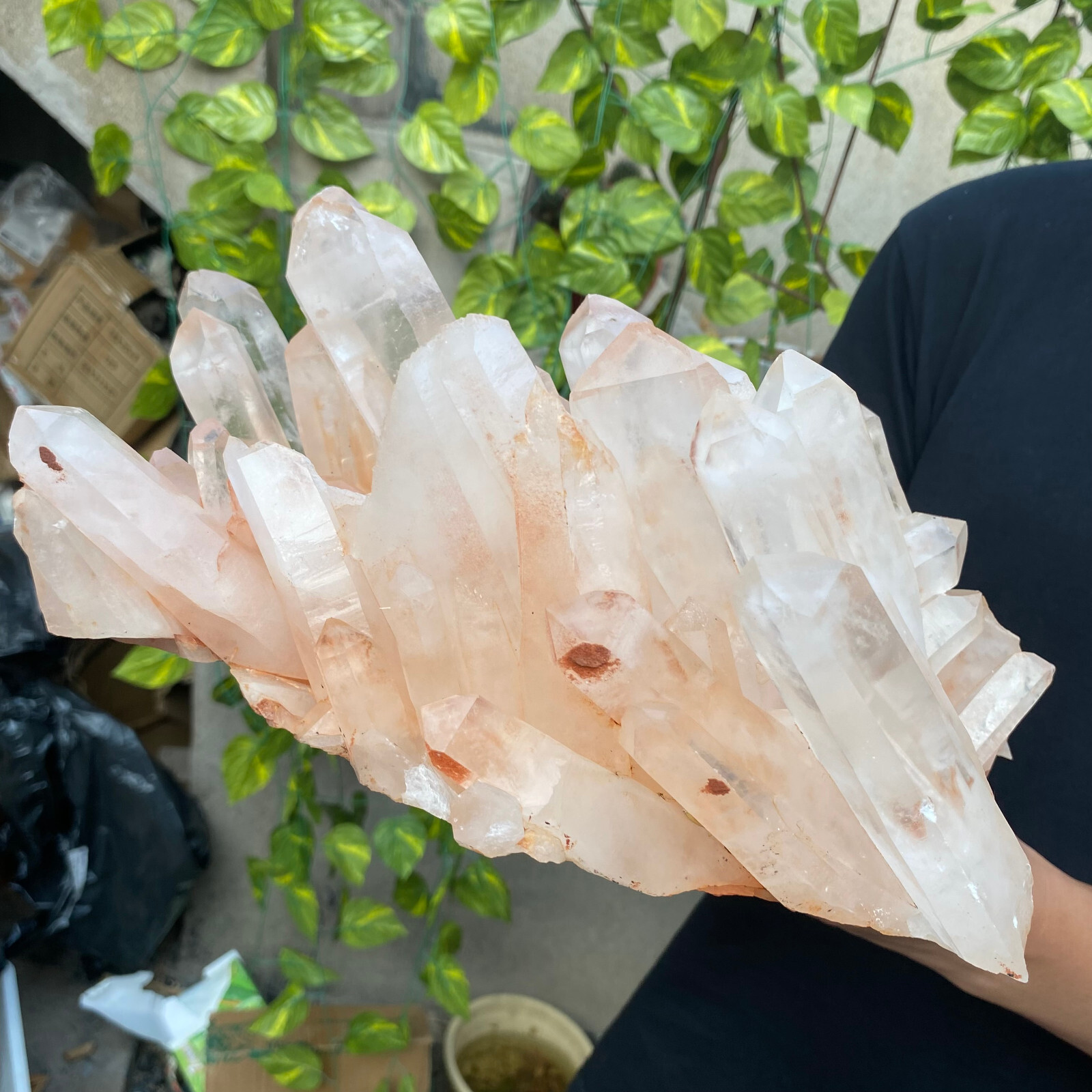 12.9lb Large Natural Clear White Quartz Crystal Cluster Rough Healing Specimen