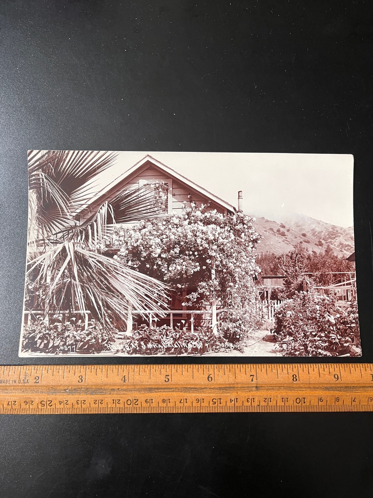 Real Photo 5x8 Santa Catalina Island California Residence Scene w/ Roses c. 1910 Real Photo 5x8 Santa Catalina Island California Residence Scene w/ Roses c. 1910