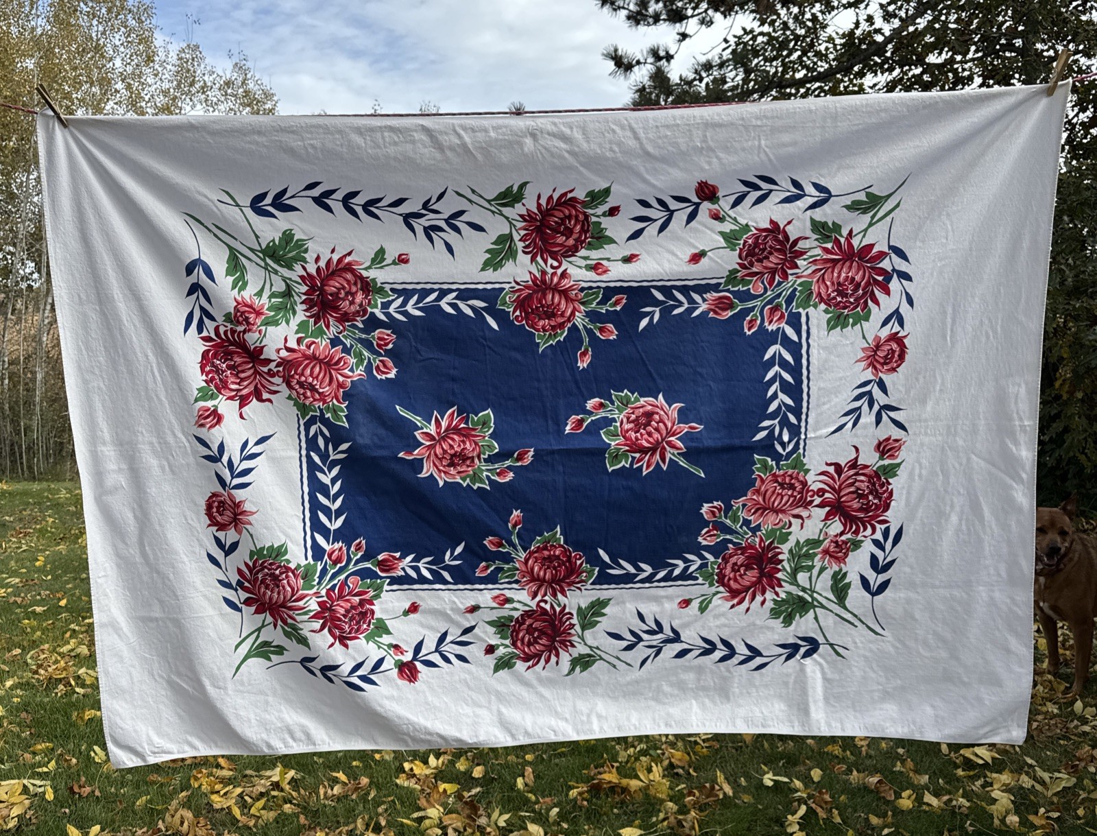 Vintage 1940S 50S Tablecloth White Blue Pink Red Floral ~52x75” 😊 Awesome 