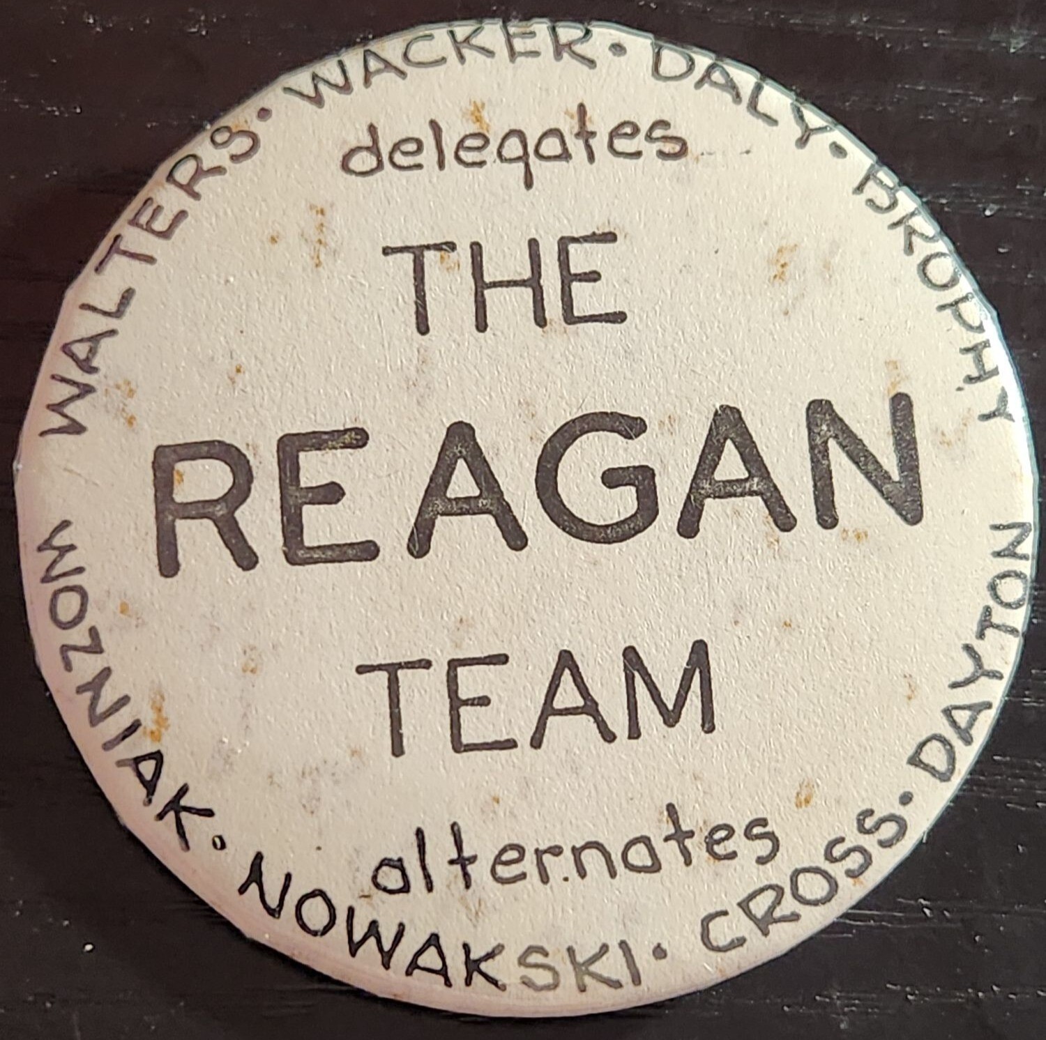 Vintage Political Campaign Pin 