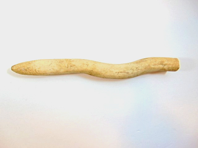 ceramic Walrus oosick (os baculum) penis bone signed 
