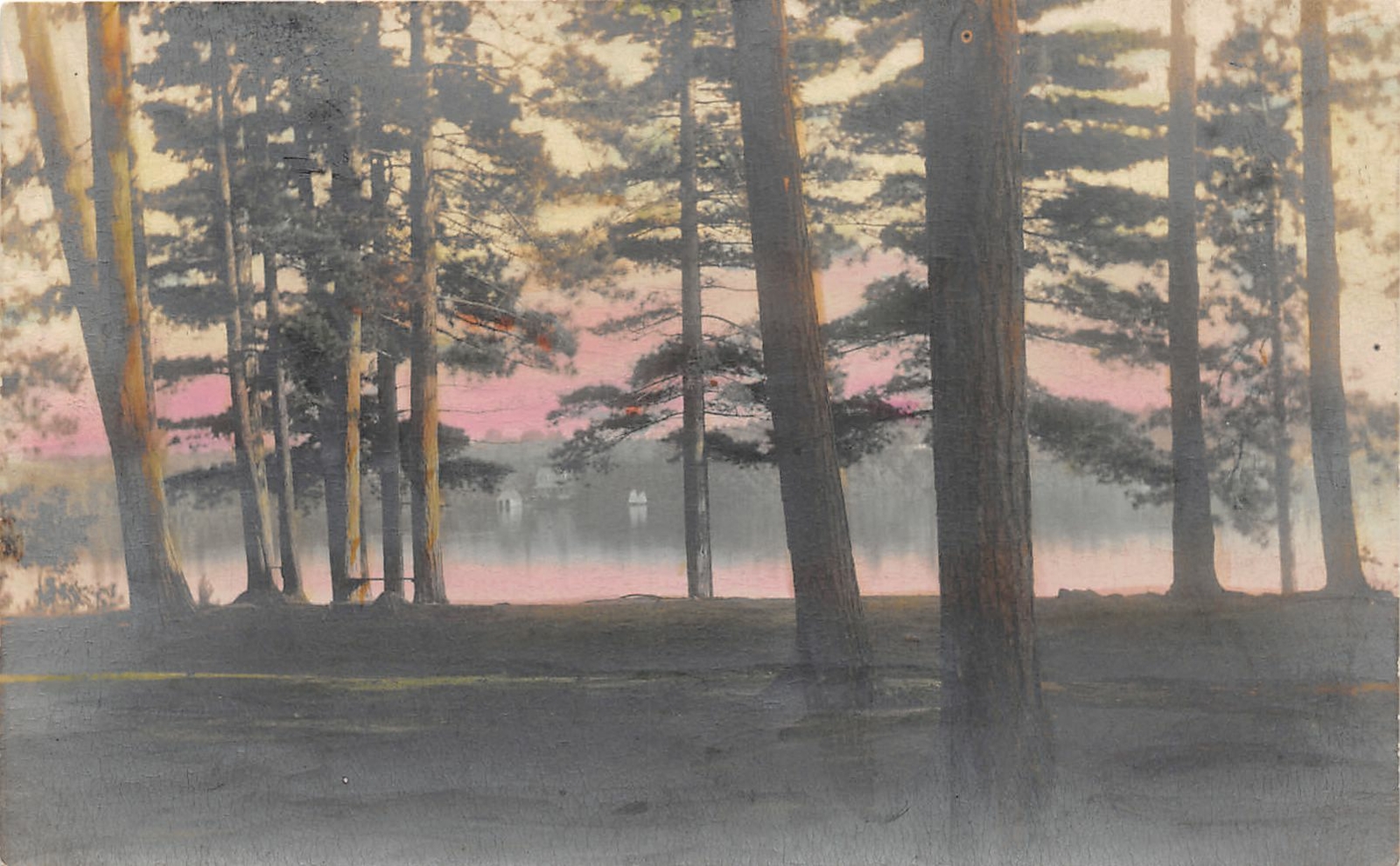 J13/ Lowville New York RPPC Postcard c1910 Lakeshore Trees  129