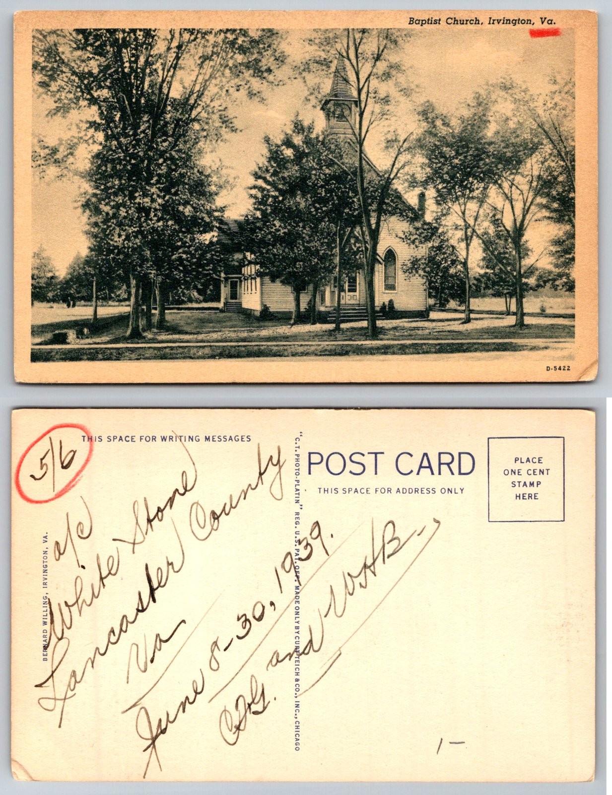 Irvington Virginia Baptist Church Building View Trees Curt Teich Postcard