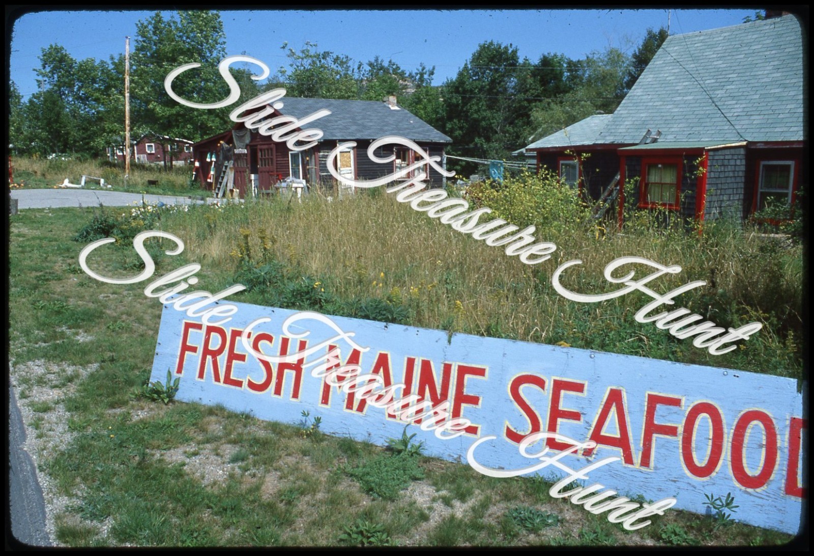 Fresh Maine Seafood Sign Roadside 35mm Slide 1970s Fresh Maine Seafood Sign Roadside 35mm Slide 1970s