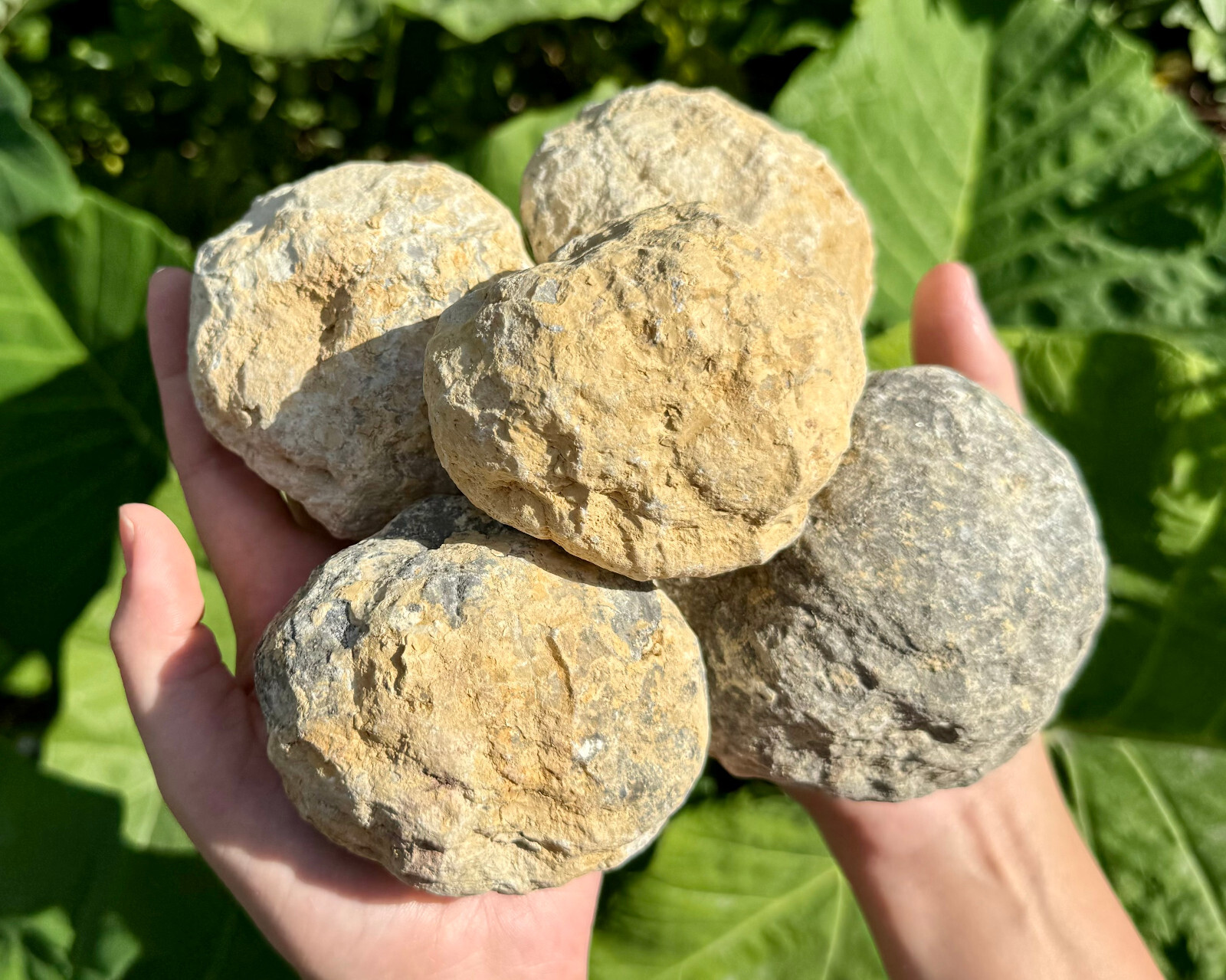 JUMBO Break Your Own Geodes Wholesale Lots - Unopened Moroccan Quartz Crystals JUMBO Break Your Own Geodes Wholesale Lots - Unopened Moroccan Quartz Crystals
