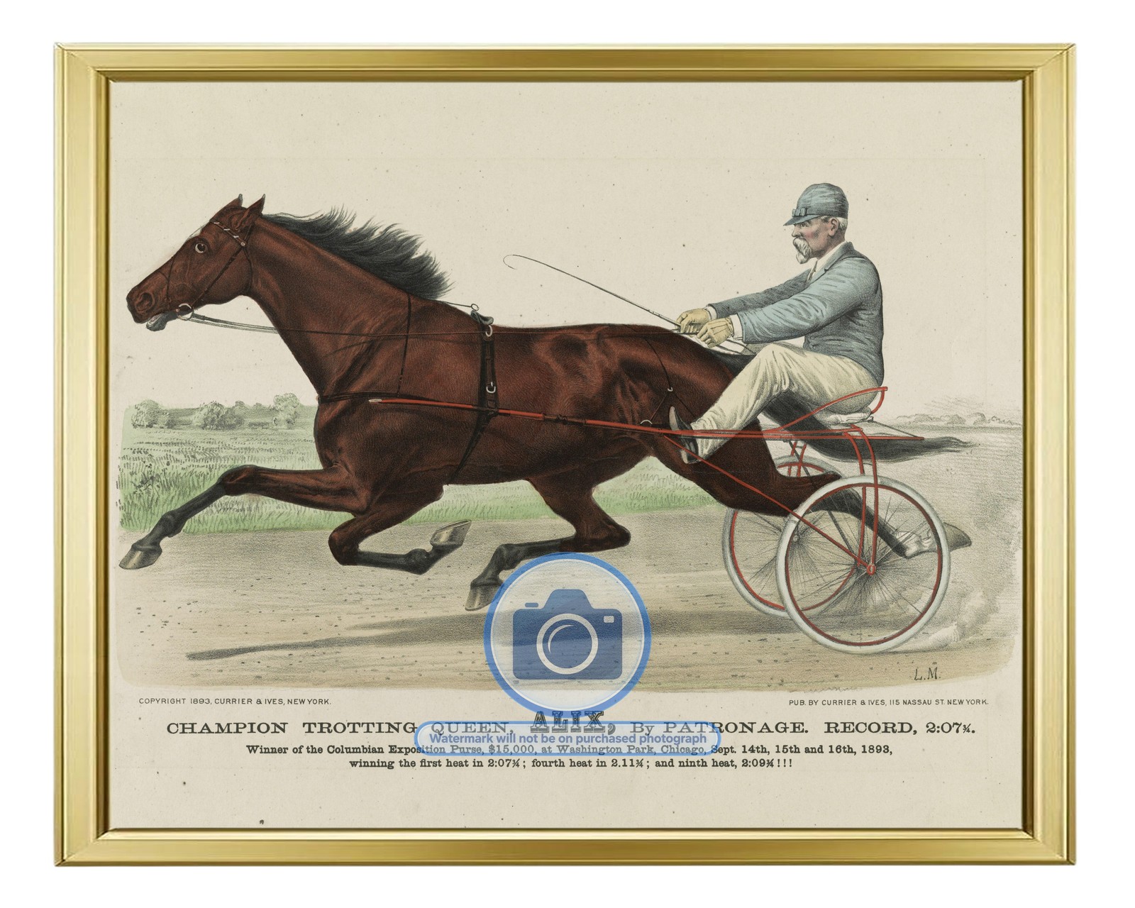 CHAMPION TROTTING QUEEN ALIX WASHINGTON PARK CHICAGO 1893 8X10 GOLD FRAMED PHOTO