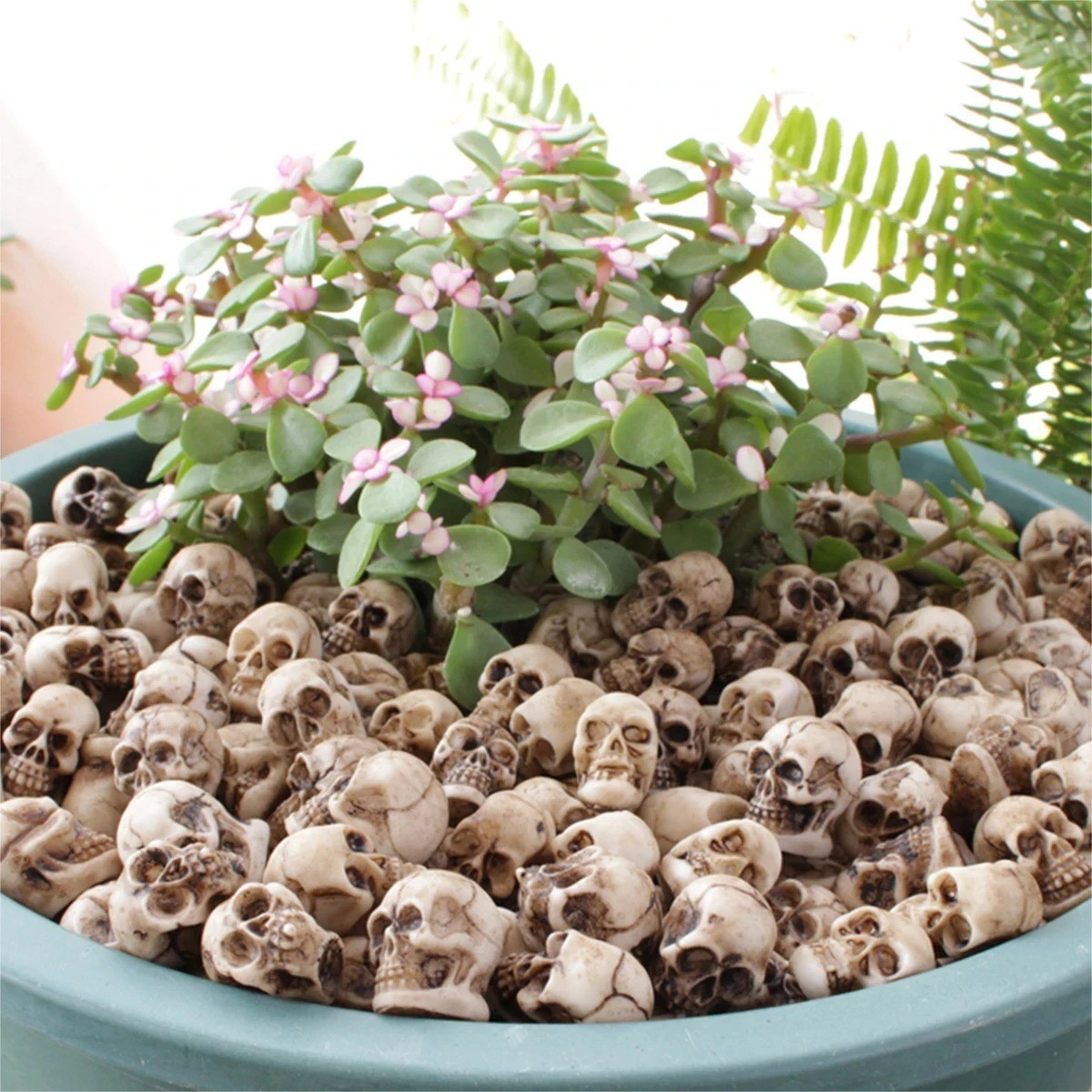 20Pcs Mini Skull Figure Collectable Halloween Miniature Skulls Heads 20Pcs Mini Skull Figure Collectable Halloween Miniature Skulls Heads