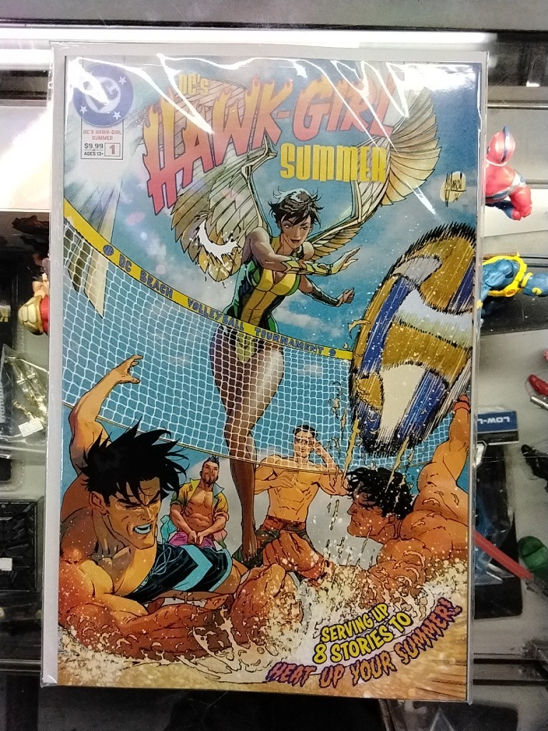 DC\'s Hawk Girl Summer #1 (One Shot) A Cvr, March DC\'s Hawk Girl Summer #1 (One Shot) A Cvr, March