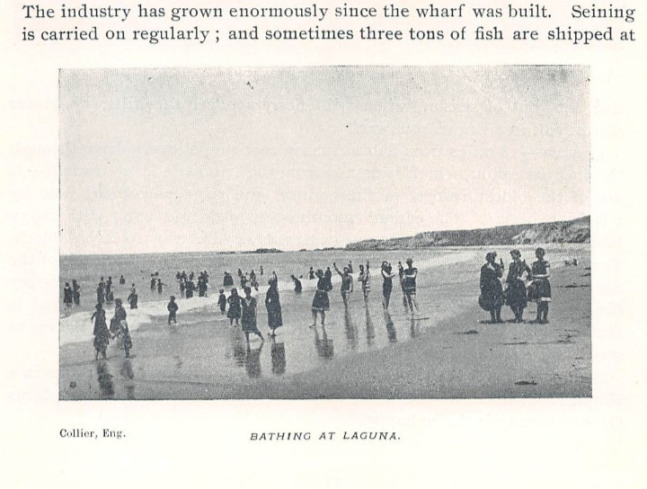 antique 1895 article NEWPORT BEACH CA LAGUNA BEACH CA (rare halftone images)