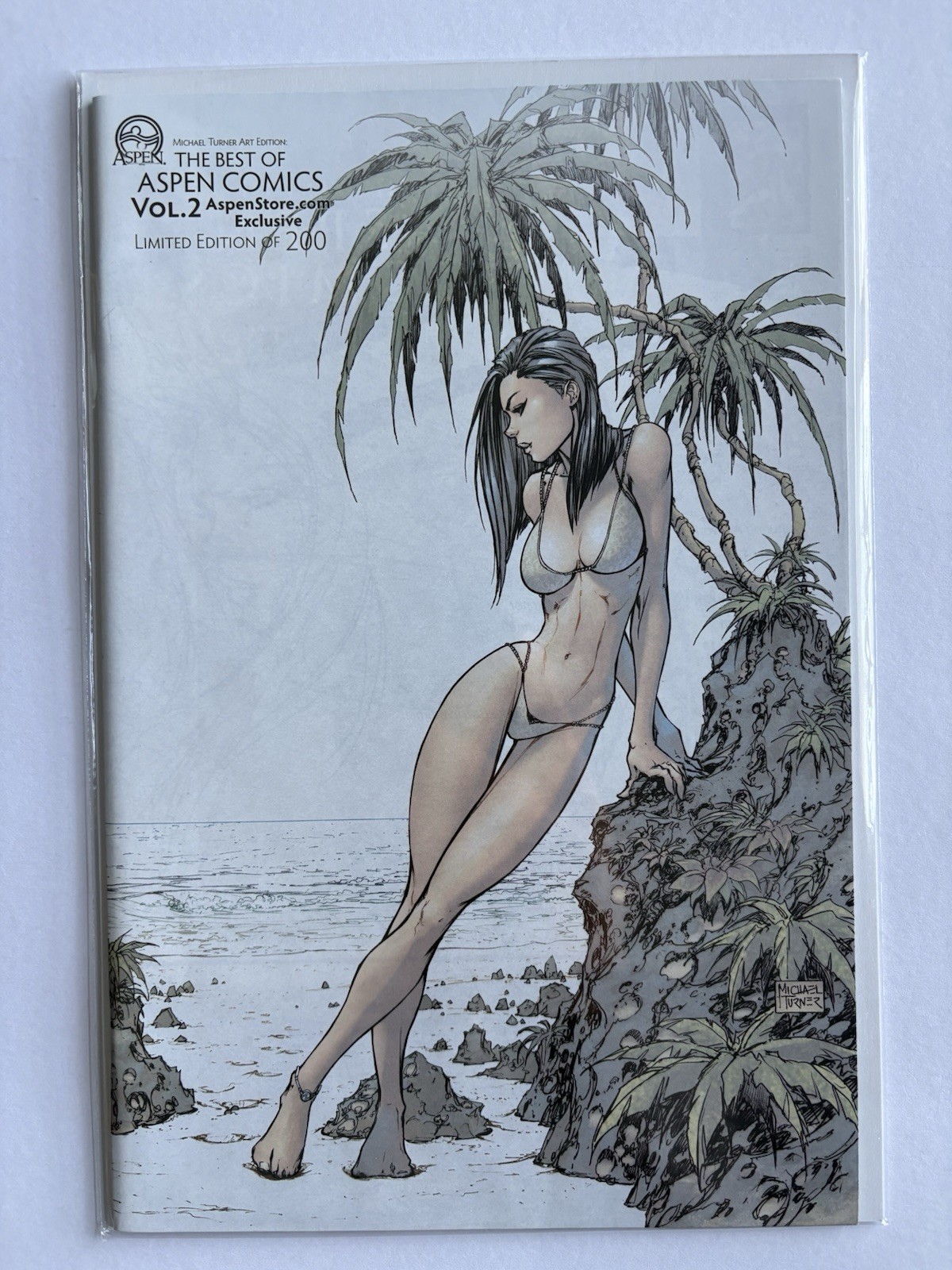 MICHAEL TURNER'S ART EDITION The Best Of Aspen Comics Vol. 2, Issue 1 Ltd 200