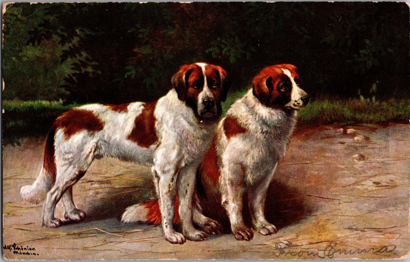 Saint Bernard Dogs Pair Vintage 1907 German Art Postcard St Bernard Saint Bernard Dogs Pair Vintage 1907 German Art Postcard St Bernard