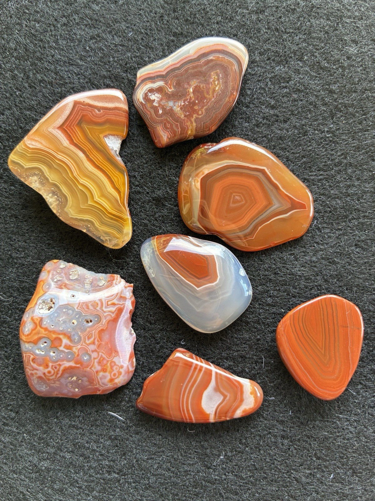 Lake Superior & Laguna Group of 7  Polished Slices 21 - 38 mm