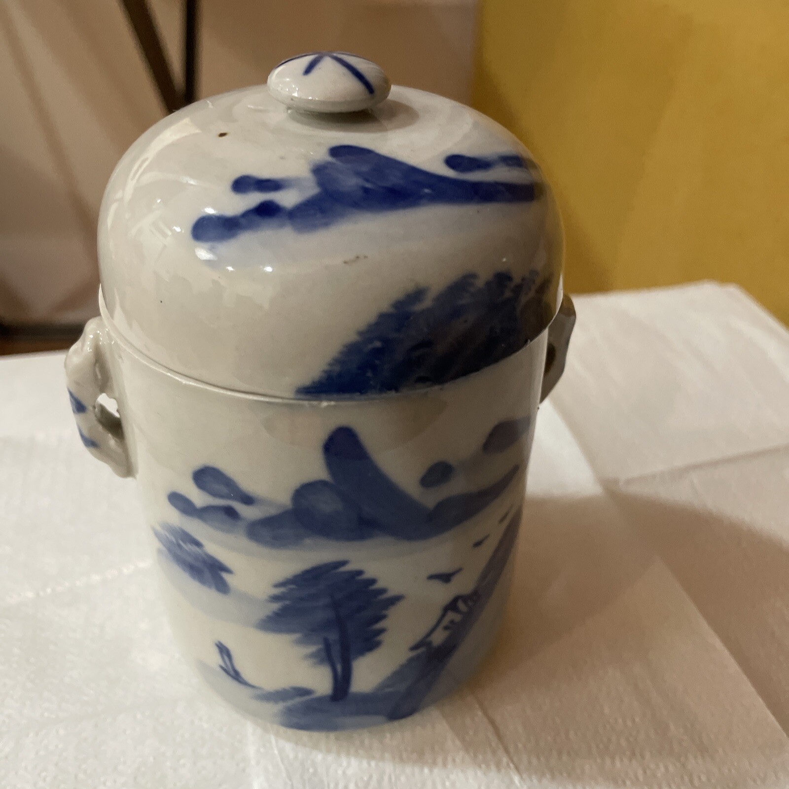 Antique 16th Century Ming Dynasty Chinese Ginger Jar Blue White Glaze Stoneware Antique 16th Century Ming Dynasty Chinese Ginger Jar Blue White Glaze Stoneware