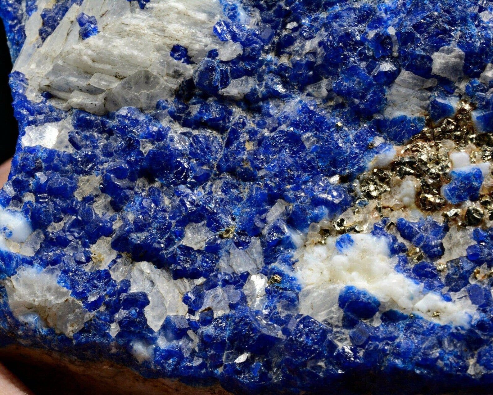 828 Gram Royal Blue Color Possibly Hauyne Crystals Cluster On Matrix w/ Pyrite 828 Gram Royal Blue Color Possibly Hauyne Crystals Cluster On Matrix w/ Pyrite