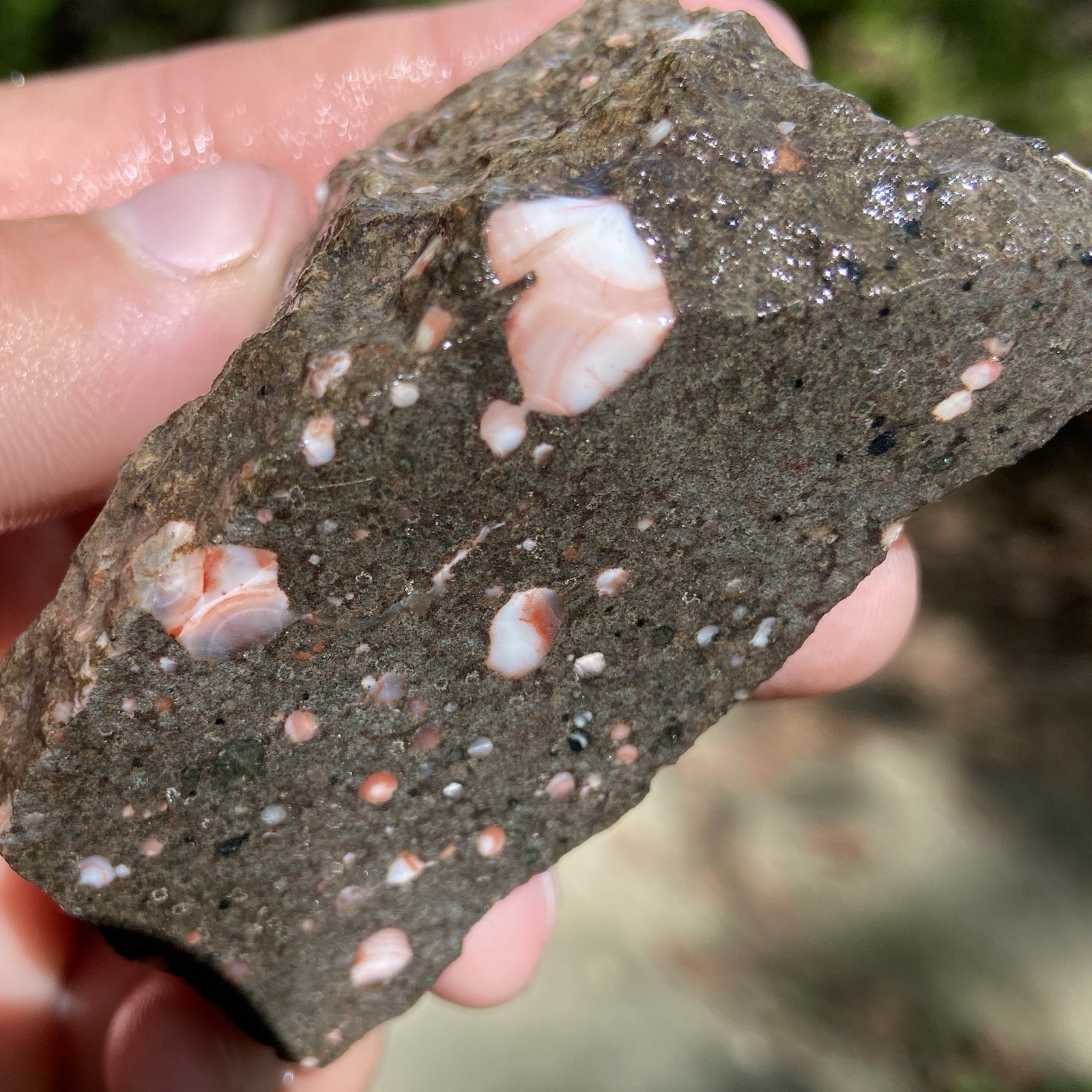 Unique Thomsonite Michigan Lapidary Rough 6.42 Oz