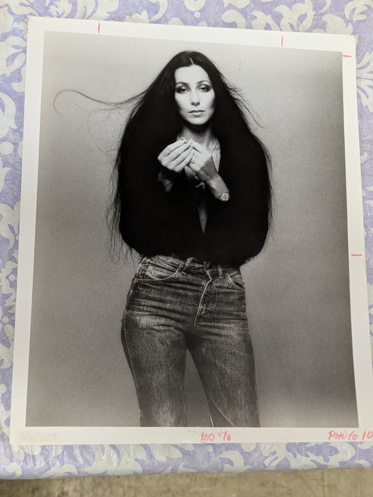 Cher In Blue Jeans Rare Vintage 8x10 Press Proto
