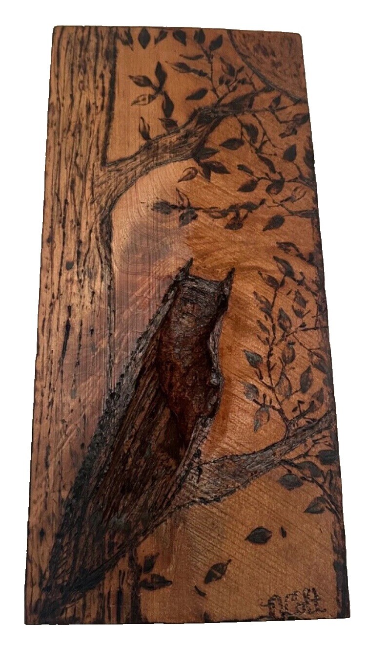 Pretty Rare Vtg Folk Art Carved Wood OWL Crescent Moon Panel Mural Wall Plaque Pretty Rare Vtg Folk Art Carved Wood OWL Crescent Moon Panel Mural Wall Plaque