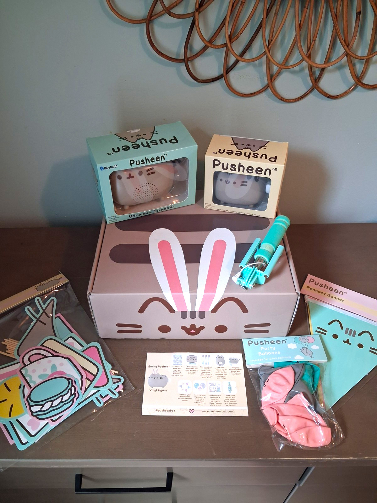 Spring 2017 Pusheen Box and Items Spring 2017 Pusheen Box and Items