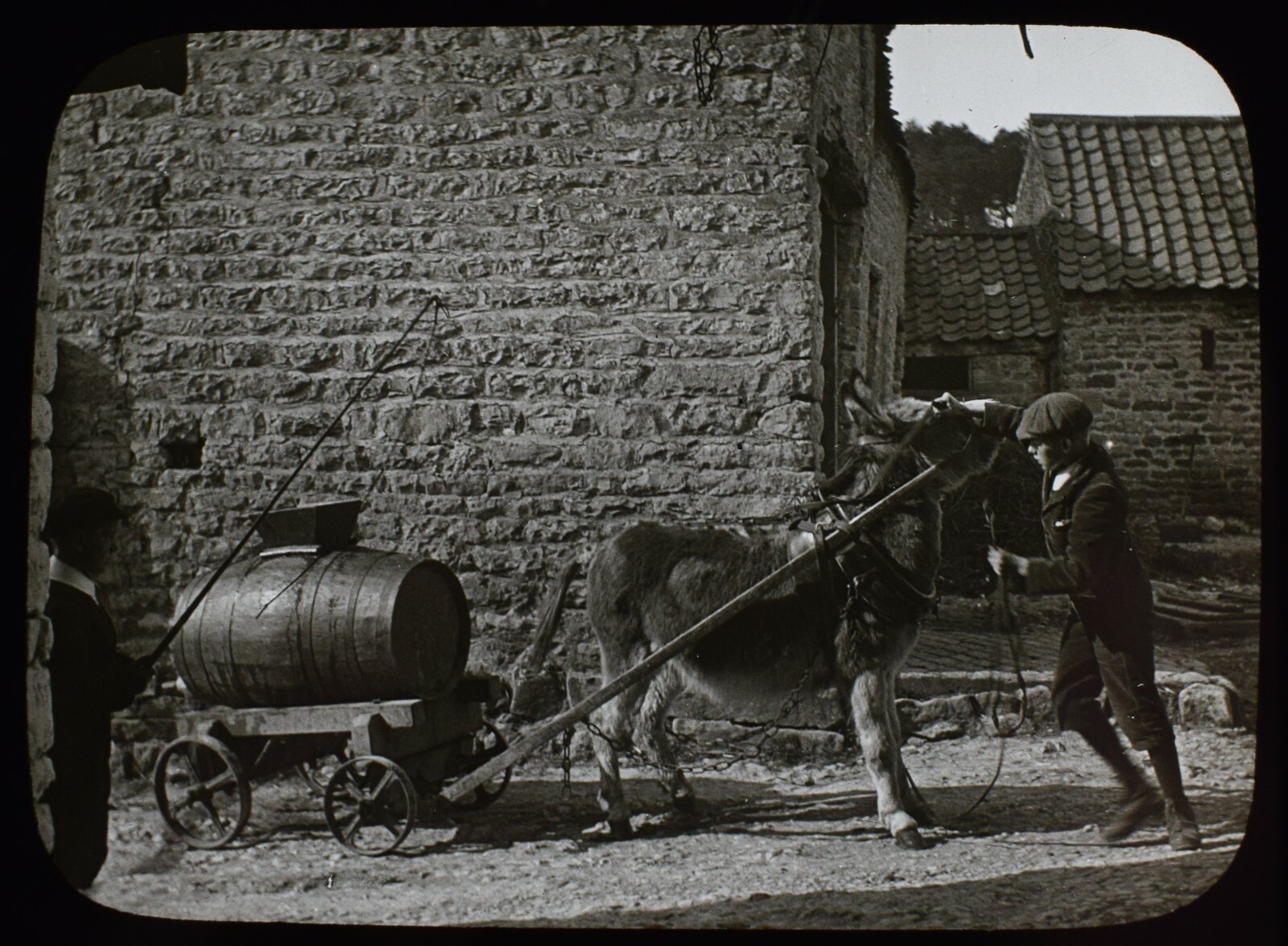 ANTIQUE Magic Lantern Slide BOY WITH DONKEY PULLING BARREL C1890 VICTORIAN PHOTO ANTIQUE Magic Lantern Slide BOY WITH DONKEY PULLING BARREL C1890 VICTORIAN PHOTO