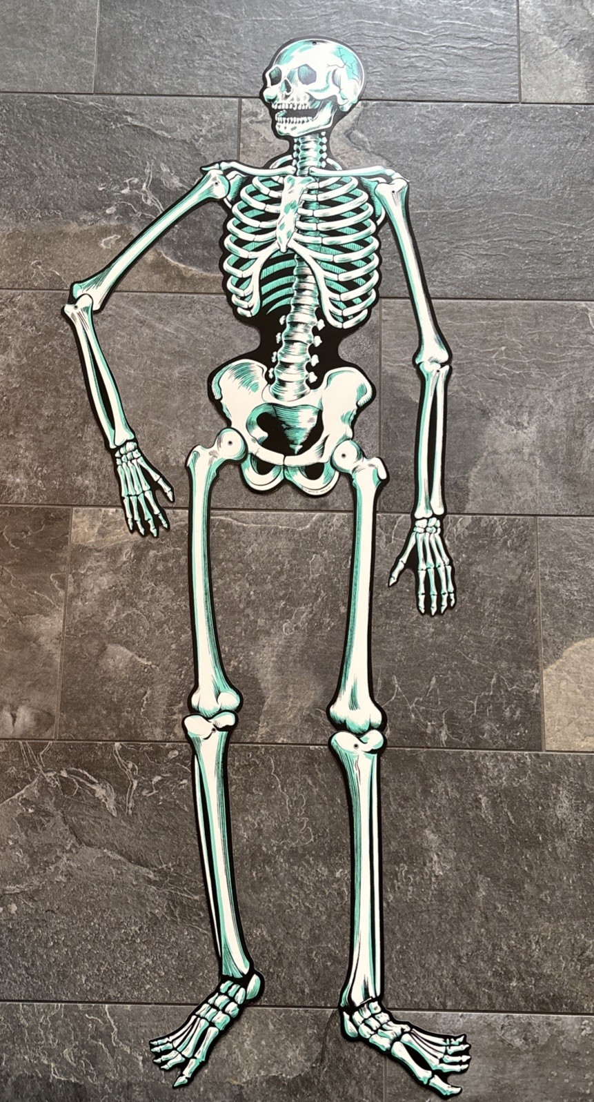Vintage Jointed Skeleton Halloween Die Cut Beistle Co. U.S.A. 57” Vintage Jointed Skeleton Halloween Die Cut Beistle Co. U.S.A. 57”
