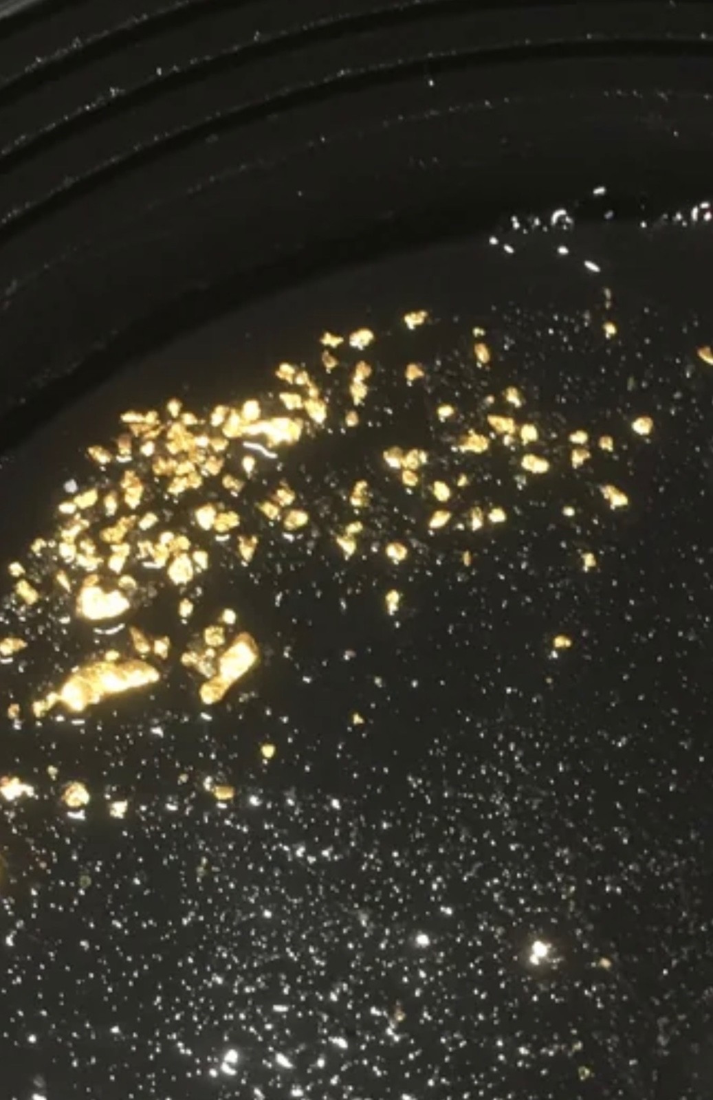 10 LB Arizona Gold Paydirt Unsearched Concentrates - Fine Black Sand Desert Pan