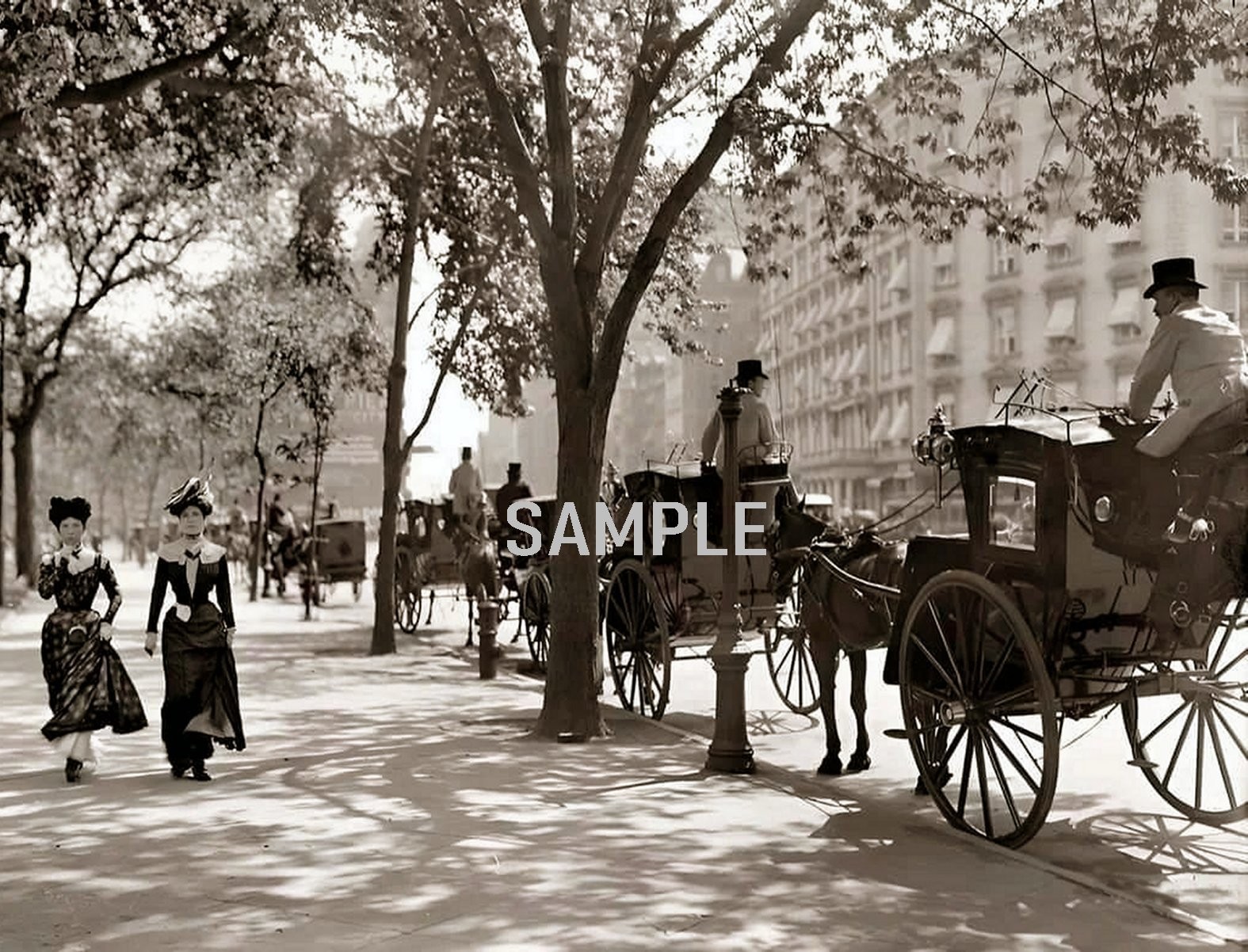 1900s NEW YORK Madison Square 8.5X11 PHOTO (237-T) 1900s NEW YORK Madison Square 8.5X11 PHOTO (237-T)