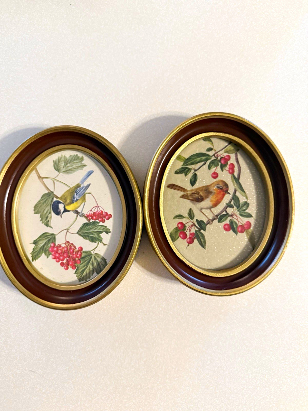 Set of 2 Vintage Oval Wood Wall-Mounted Frames Brown/Gold Bird Botanical Prints Set of 2 Vintage Oval Wood Wall-Mounted Frames Brown/Gold Bird Botanical Prints