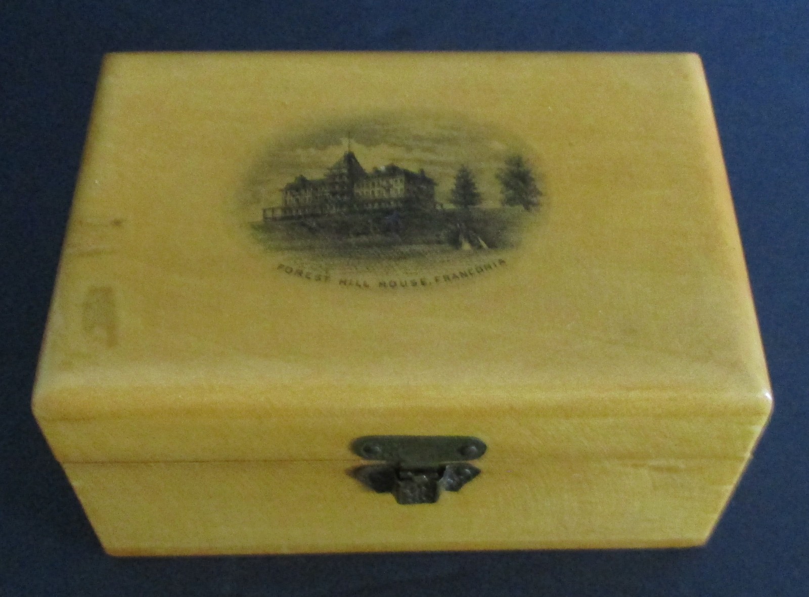 Antique Souvenir Mauchline Ware Box Forest Hill House Franconia New Hampshire Antique Souvenir Mauchline Ware Box Forest Hill House Franconia New Hampshire