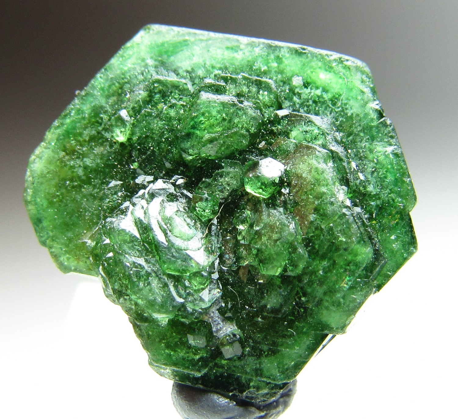 OUTSTANDING AESTHETIC CHROME UVITE TOURMALINE CRYSTAL MYANMAR OUTSTANDING AESTHETIC CHROME UVITE TOURMALINE CRYSTAL MYANMAR
