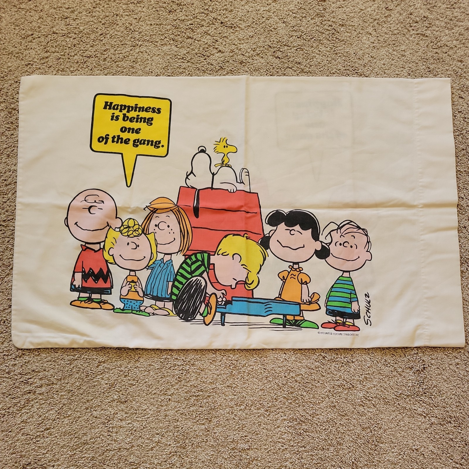 Vtg 1971 Charlie Brown Peanuts 