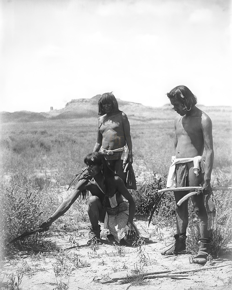 Edward S Curtis Hopi Indian Catching a Snake 8x10 Glossy Photo Print HT943544