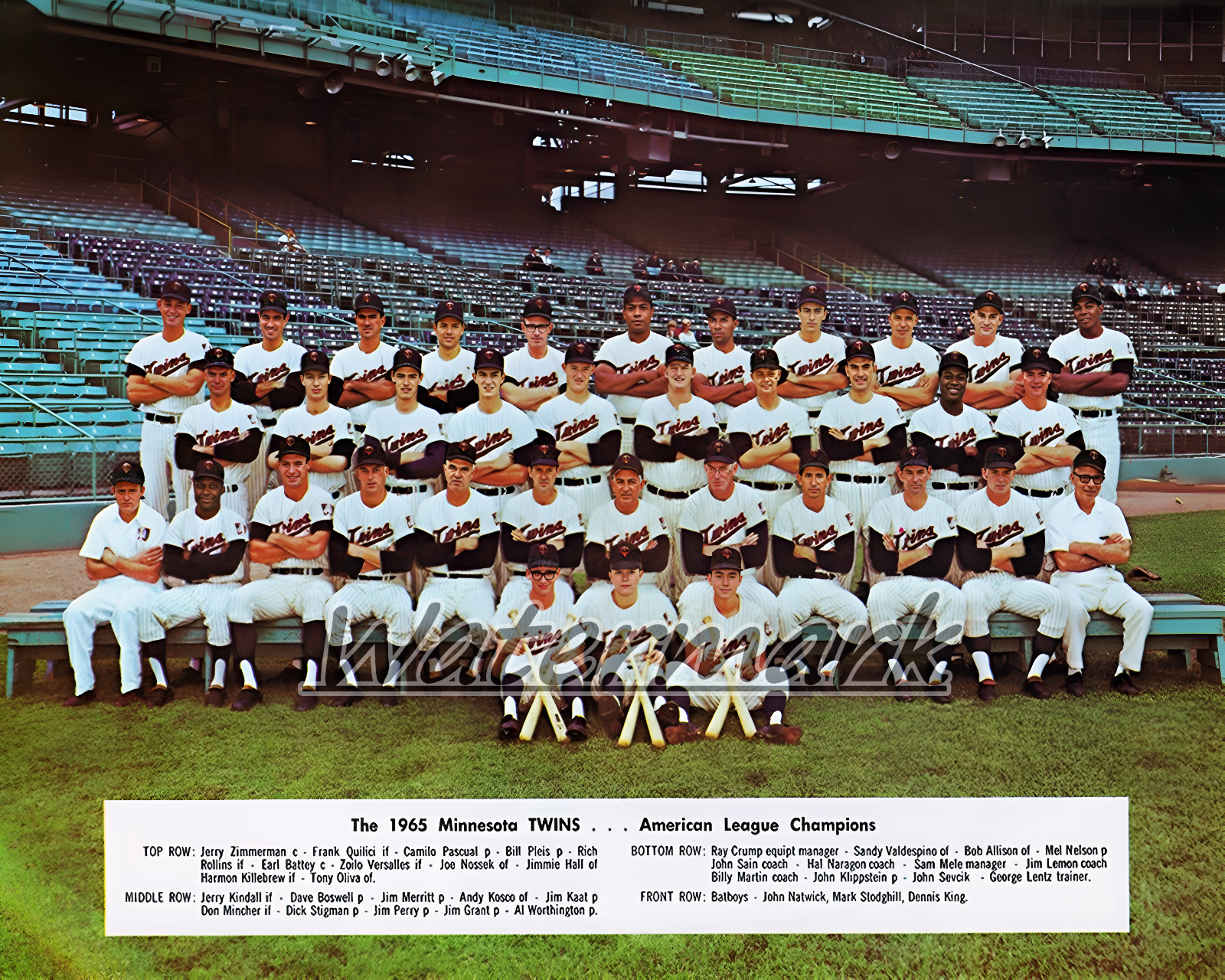 MLB 1965 American League Champs Minnesota Twins Color Team Picture 8 X 10 Photo