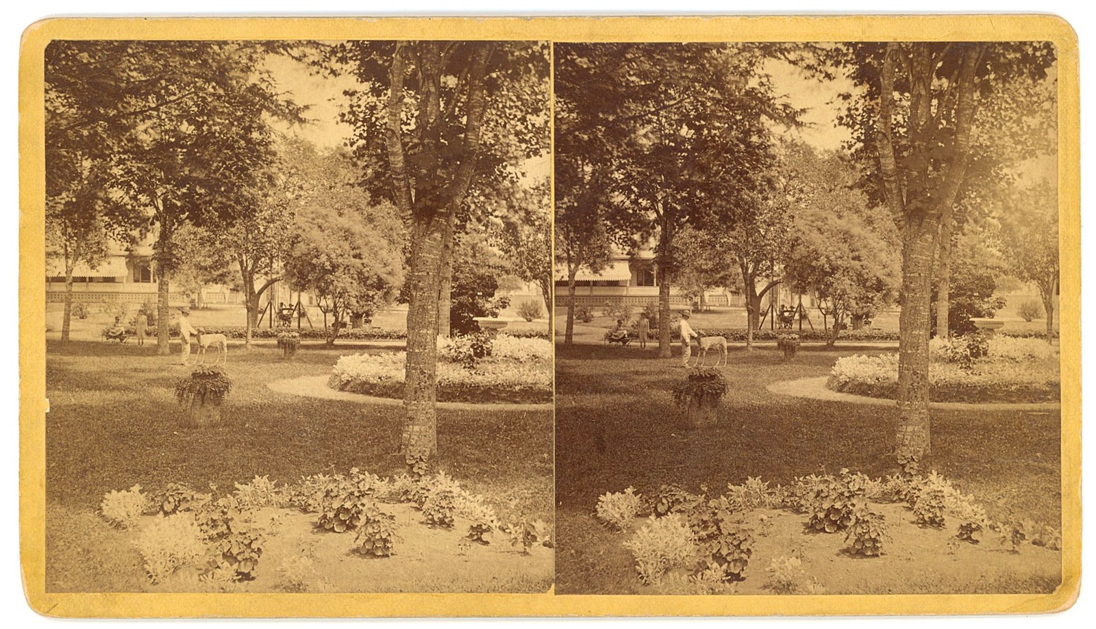 CONNECTICUT STEREOVIEW - New Haven Street Scene - Pardee & Isbell 1870s RARE CONNECTICUT STEREOVIEW - New Haven Street Scene - Pardee & Isbell 1870s RARE