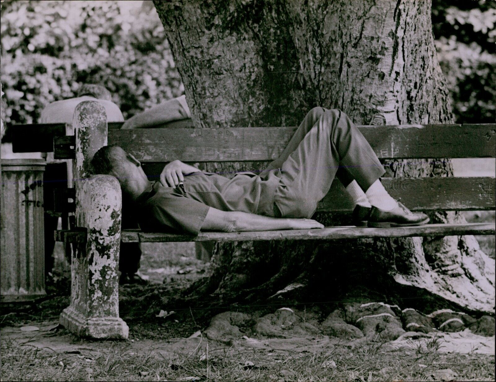 LG791 1972 Original Albert Coya Photo MAN SLEEPING ON BENCH Bayfront Park Miami