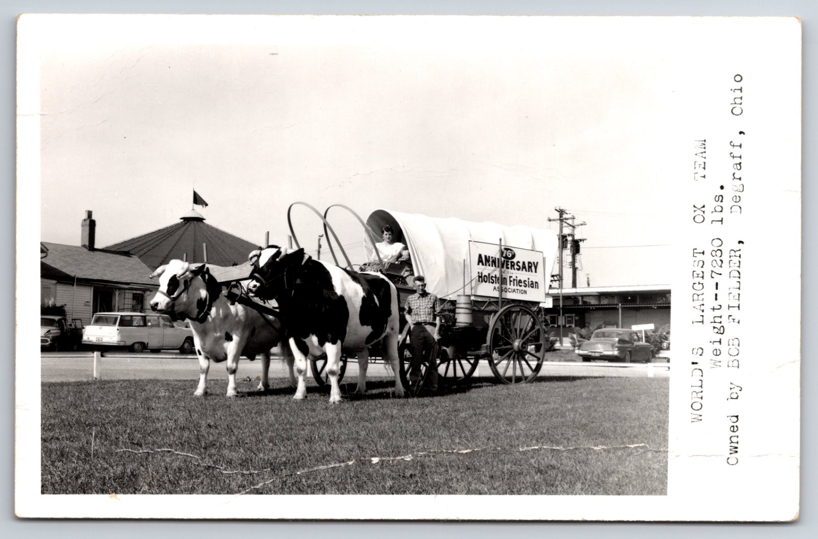 Worlds Largest Ox Team Covered Wagon Degraff De Graff Ohio As-Is Real Photo RPPC