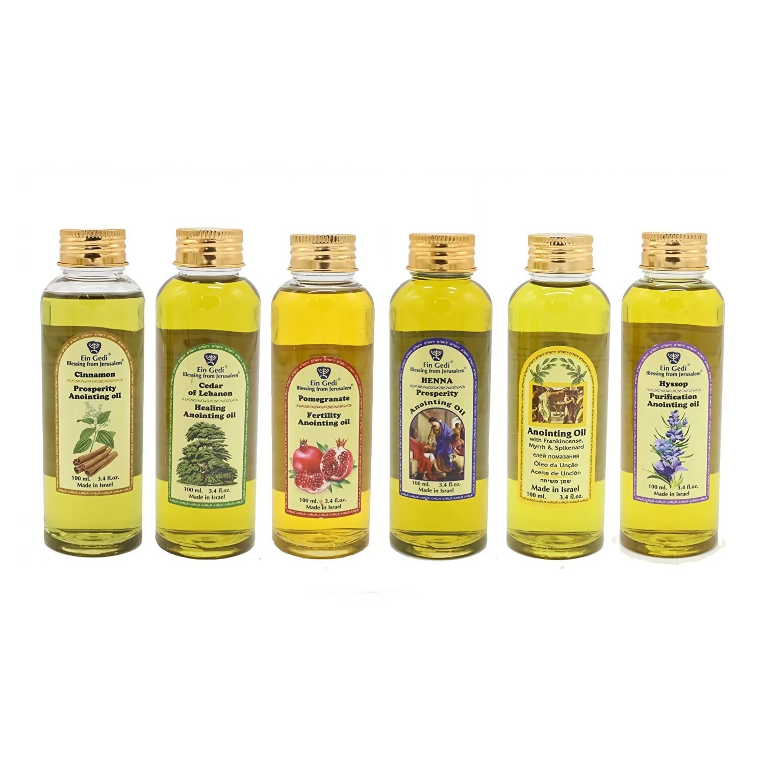 Set of 6 x 100 ml Ein Gedi Healing Anointing Oils from Jerusalem Israel