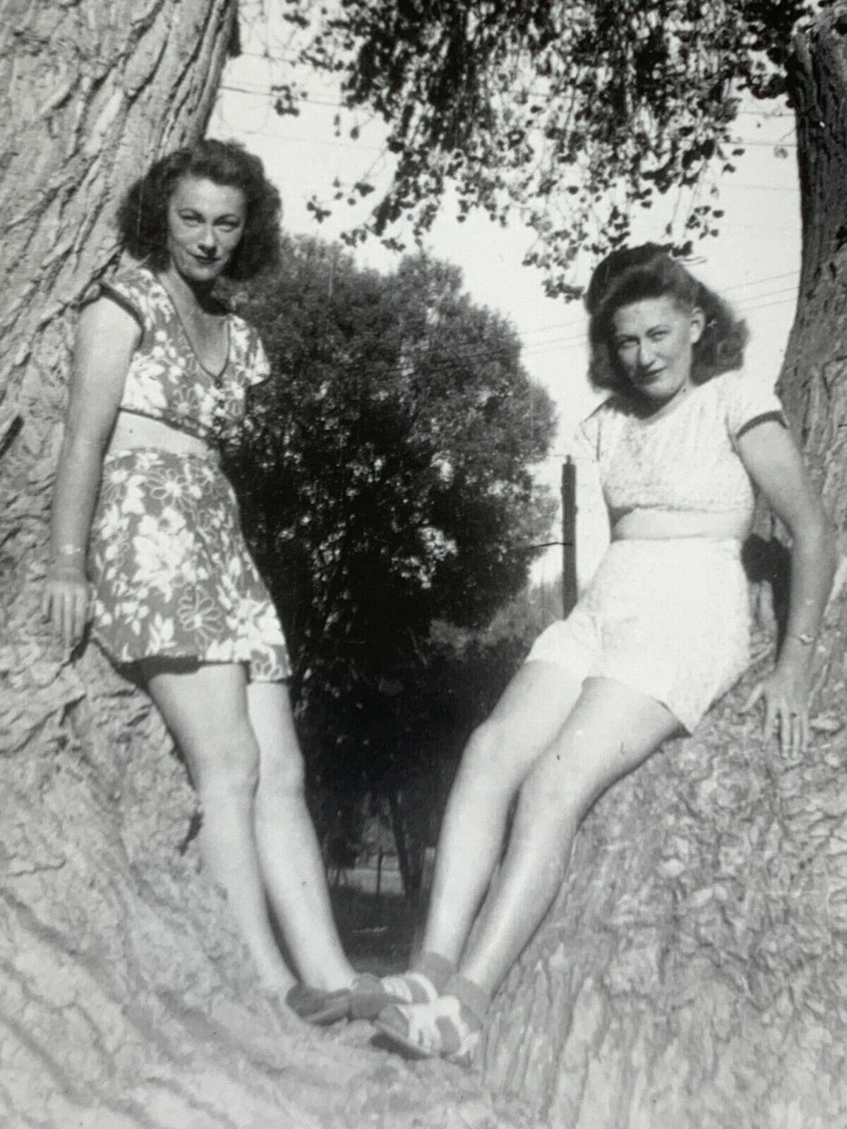 AxH) Found Photograph Artistic 2 Beautiful Twin Beautiful Women In Tree