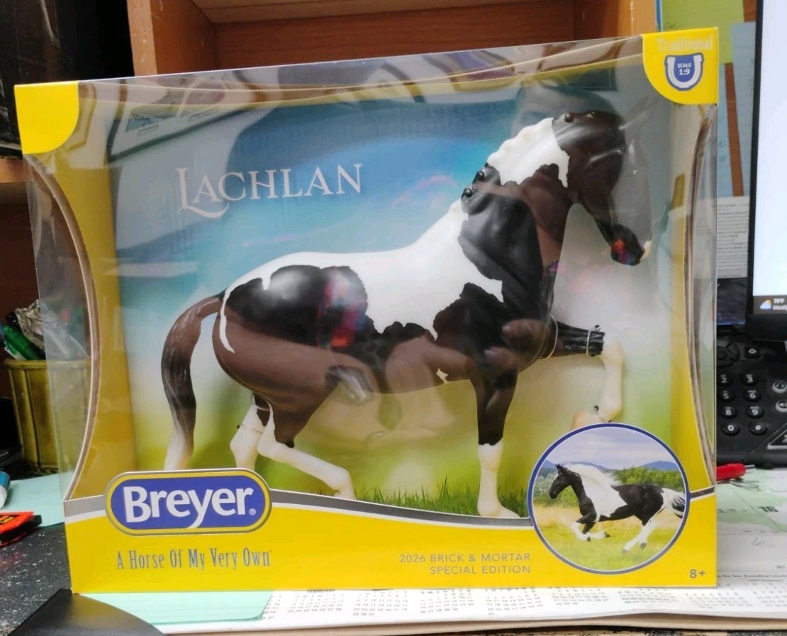 Breyer Lachlan Special Run LTD ED Traditional Black & White Pinto Sport Horse