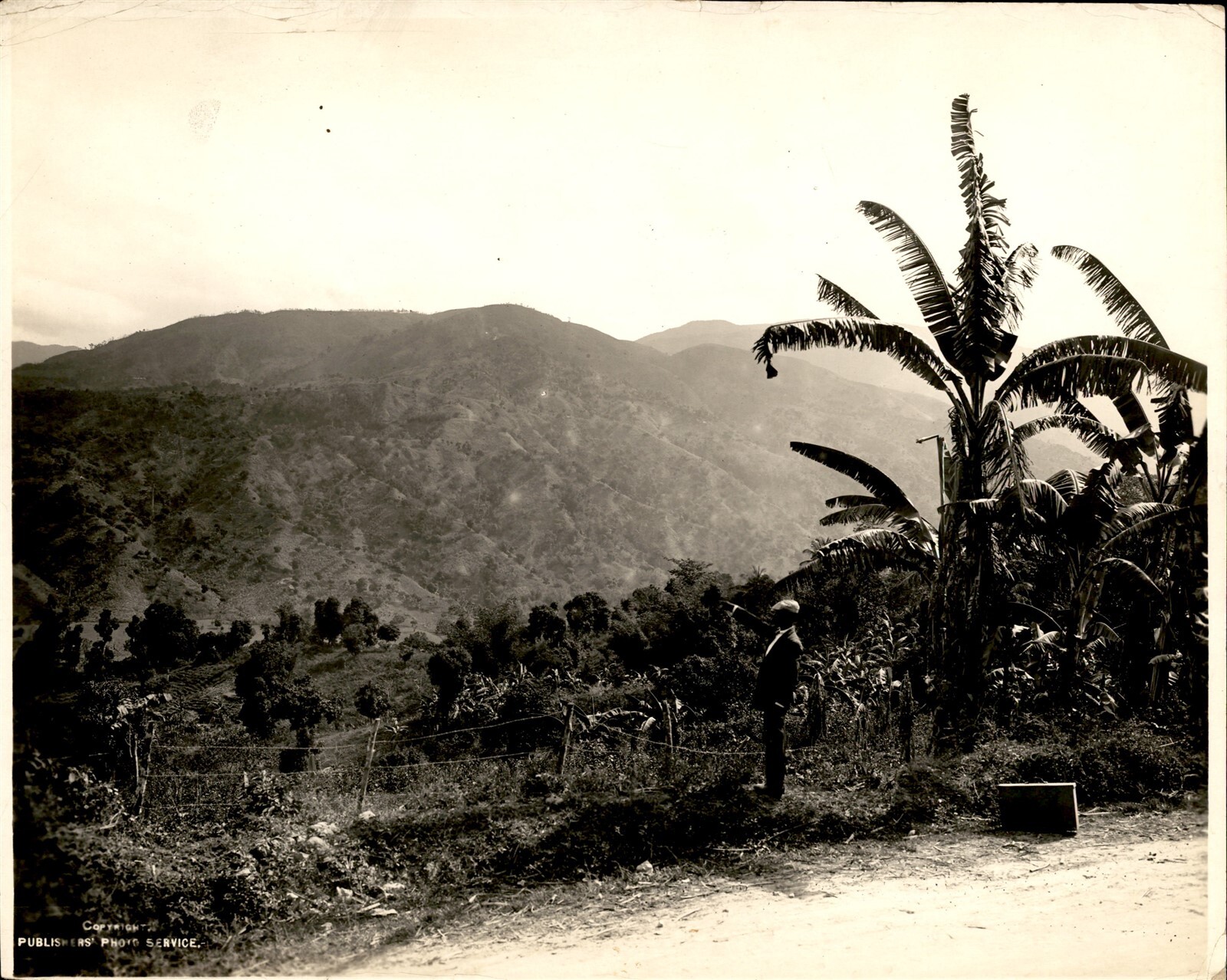 GA201 Original Photo BEAUTIFUL AUTO ROAD IN JAMAICA MOUNTAINOUS TERRAIN GA201 Original Photo BEAUTIFUL AUTO ROAD IN JAMAICA MOUNTAINOUS TERRAIN