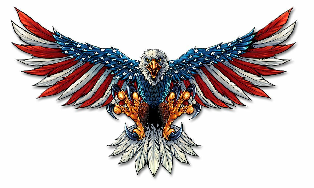AMERICAN BALD EAGLE US FLAG WINGS 21\